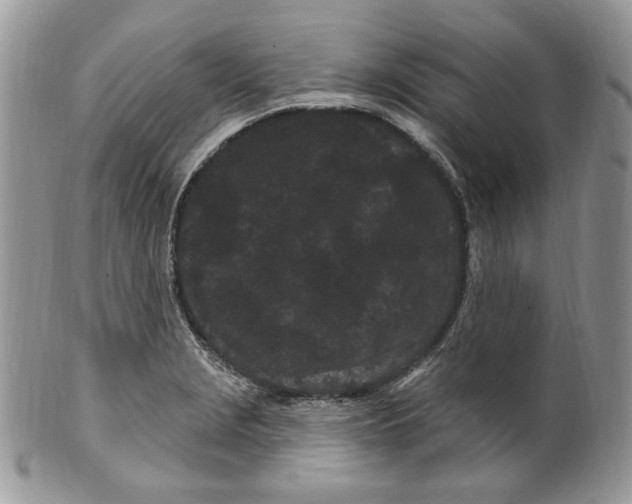 X0000099561229200806131227