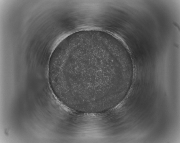 X0000099561231200806131227