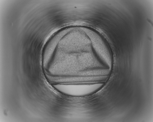 X0000099561232200806131227