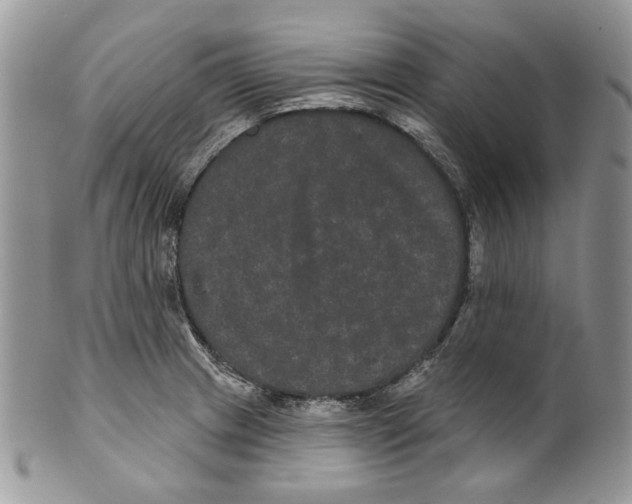 X0000099561233200806131227