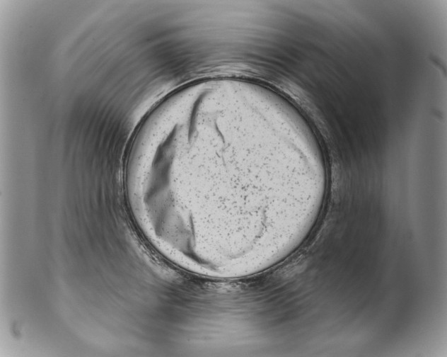 X0000099561234200806131227