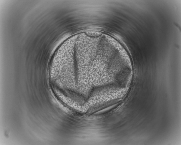 X0000099561235200806131227