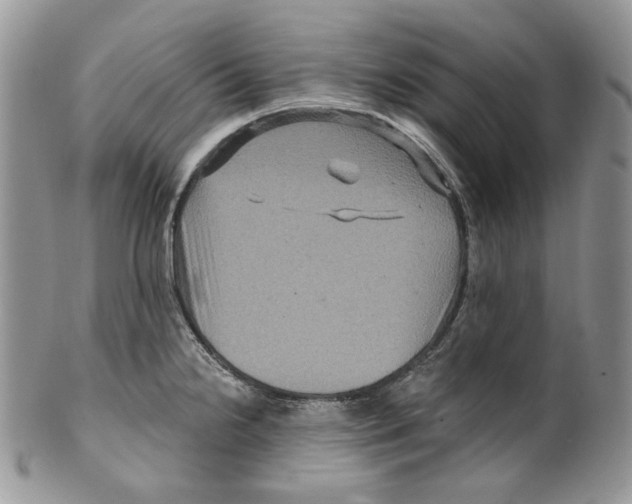 X0000099561238200806131227