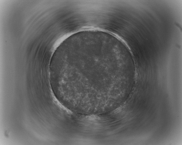 X0000099561239200806131227