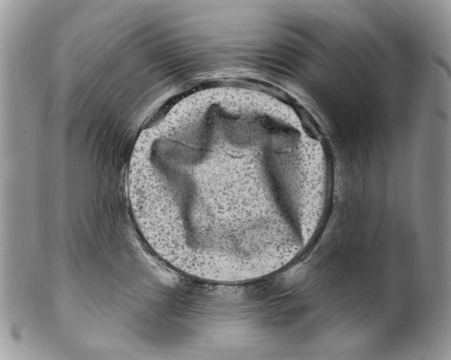 X0000099561241200806131227