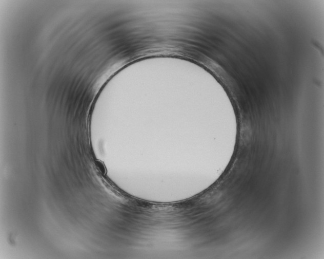 X0000099561242200806131227