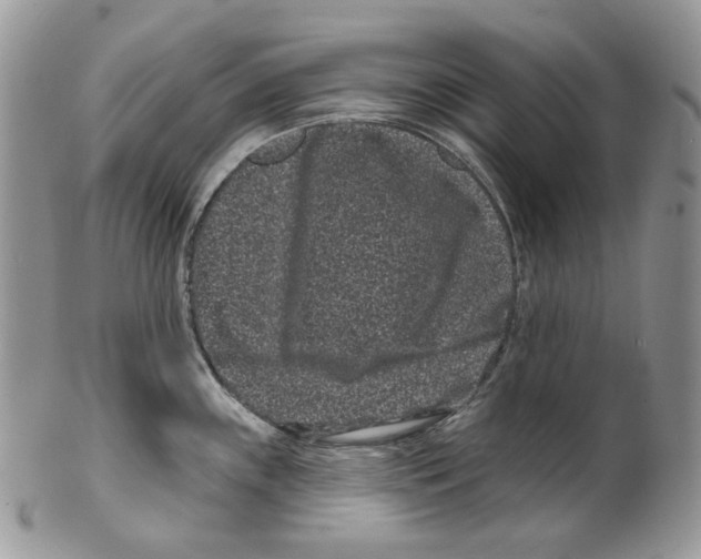 X0000099561243200806131227