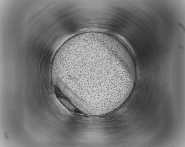 X0000099561244200806131227