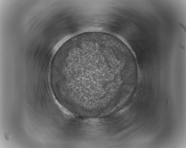 X0000099561245200806131227