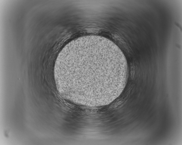 X0000099561249200806131226