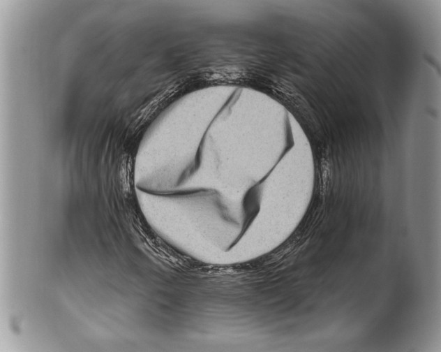 X0000099561250200806131226