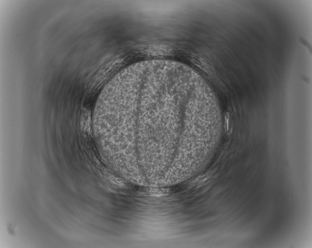 X0000099561251200806131226