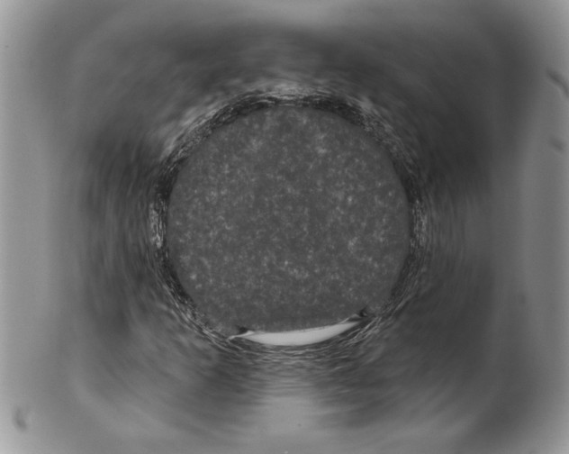 X0000099561253200806131226