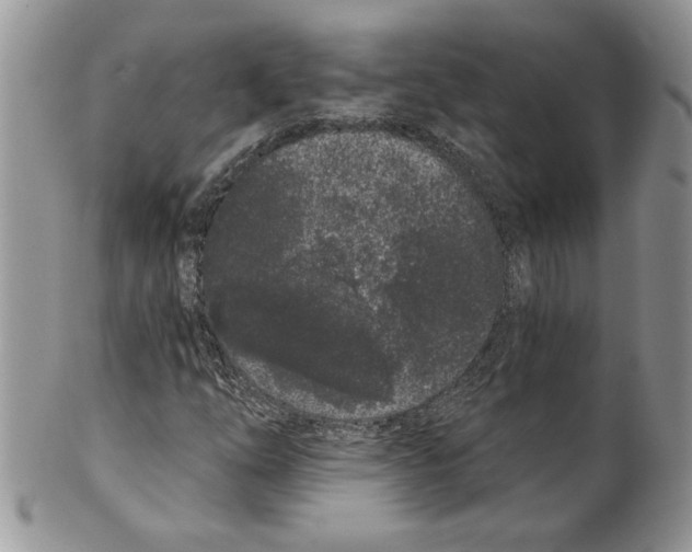 X0000099561254200806131226