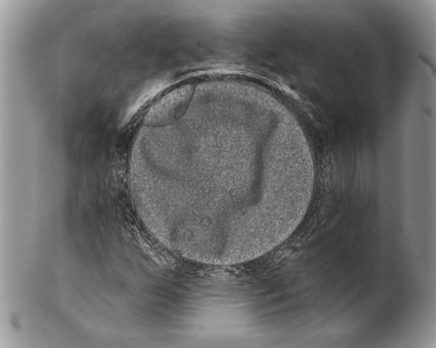 X0000099561255200806131226