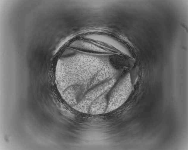 X0000099561256200806131226