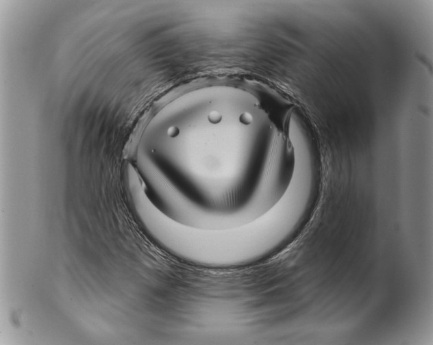 X0000099561257200806131226