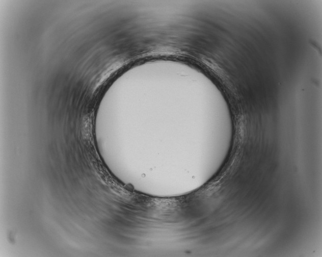 X0000099561258200806131226