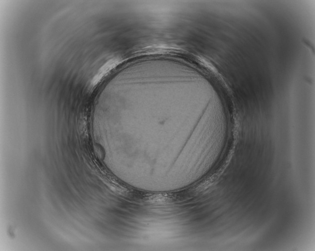 X0000099561259200806131226