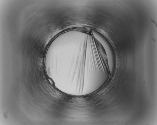 X0000099561260200806131226