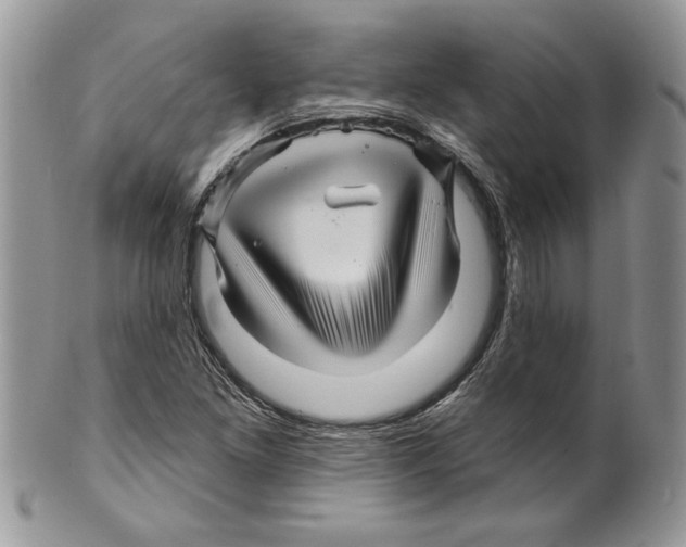 X0000099561261200806131226