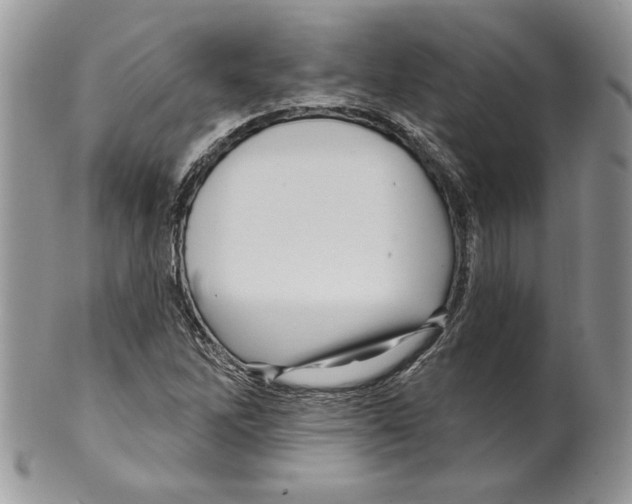 X0000099561262200806131226