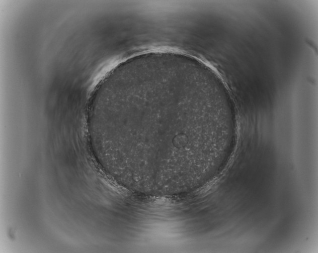 X0000099561263200806131226