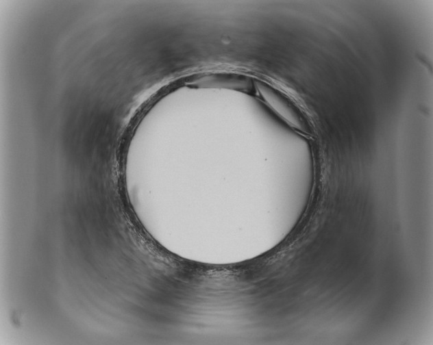 X0000099561264200806131226