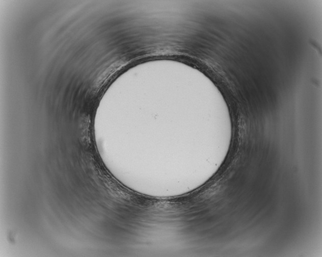 X0000099561265200806131226