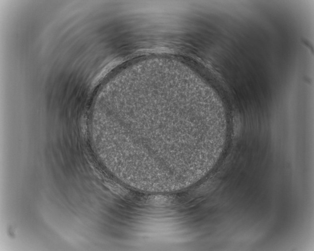 X0000099561266200806131226