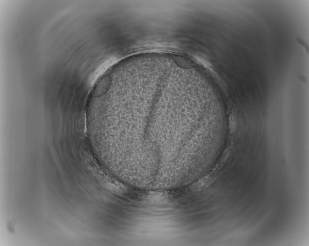 X0000099561267200806131226