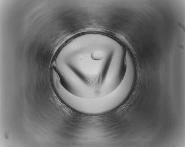 X0000099561268200806131226