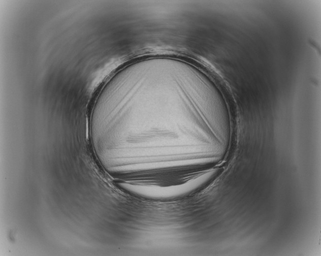 X0000099561269200806131226