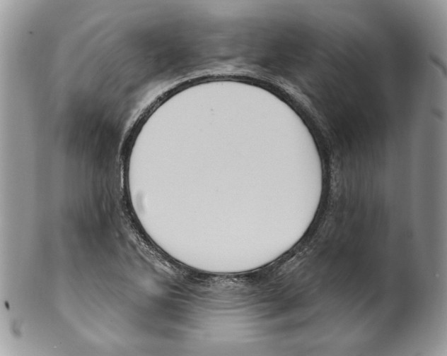 X0000099561270200806131226