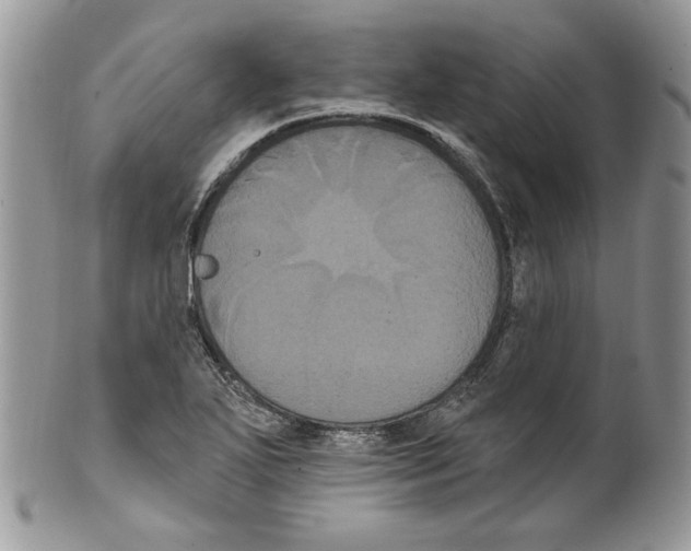 X0000099561271200806131226