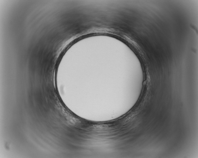 X0000099561272200806131226