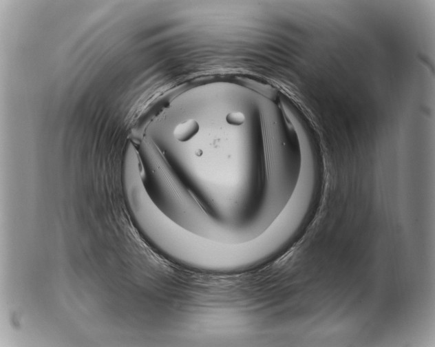 X0000099561273200806131226