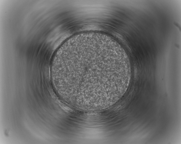 X0000099561274200806131226