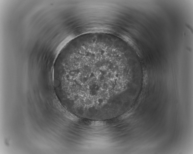 X0000099561275200806131226