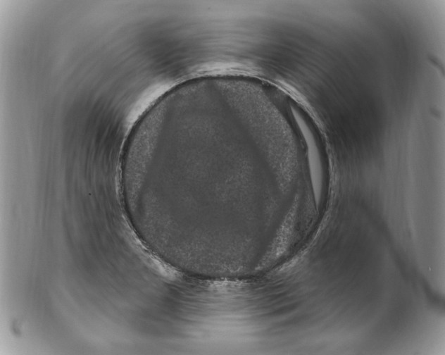 X0000099561277200806131226