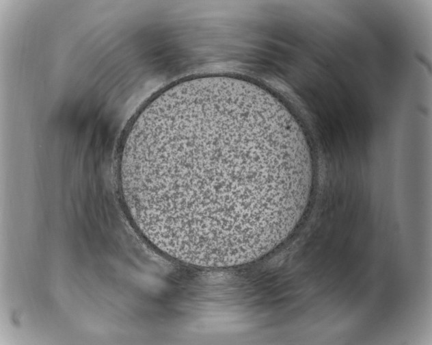 X0000099561278200806131226