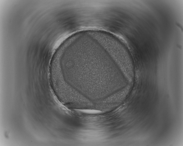 X0000099561279200806131226