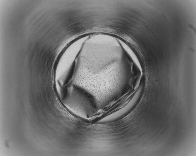 X0000099561280200806131226