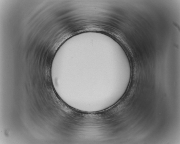 X0000099561281200806131226