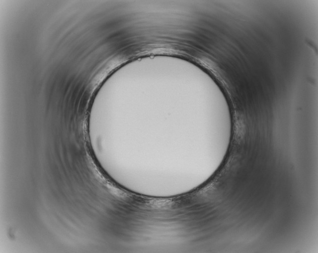 X0000099561282200806131226