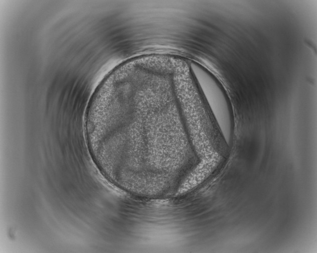 X0000099561283200806131226