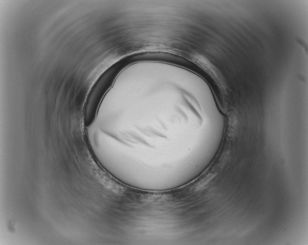 X0000099561284200806131226