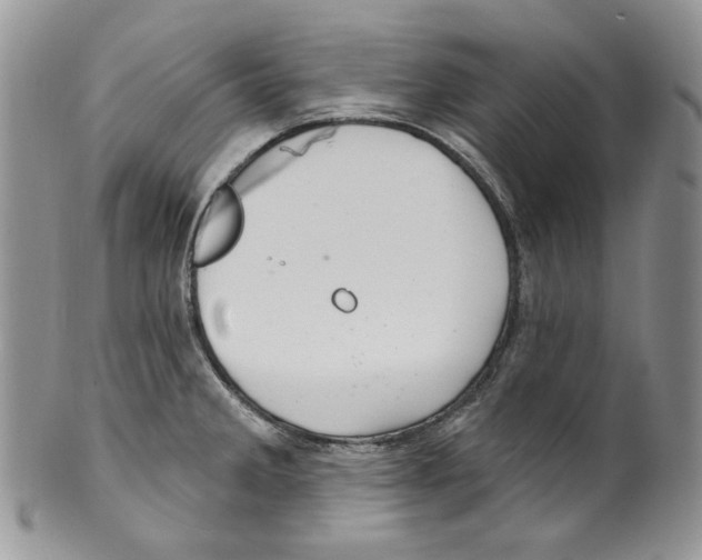 X0000099561285200806131226