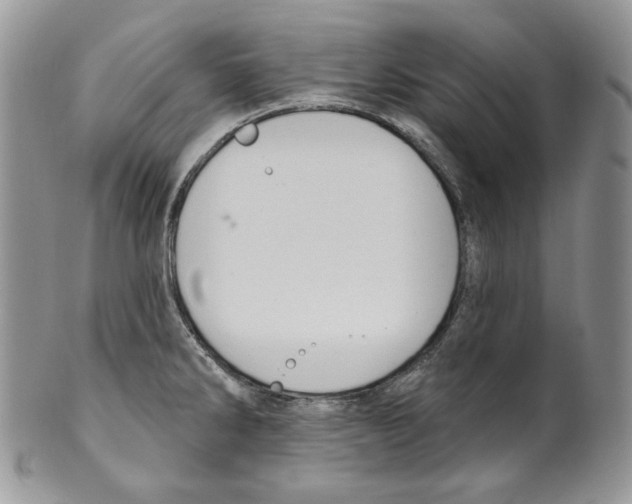 X0000099561286200806131226