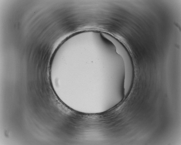 X0000099561288200806131226